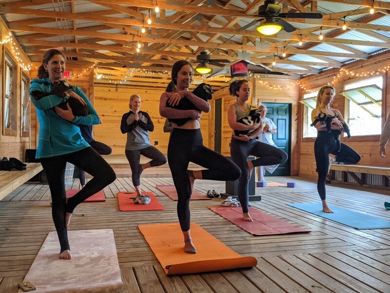 Goat Yoga and Wine Tasting- Sunday, Feb. 23