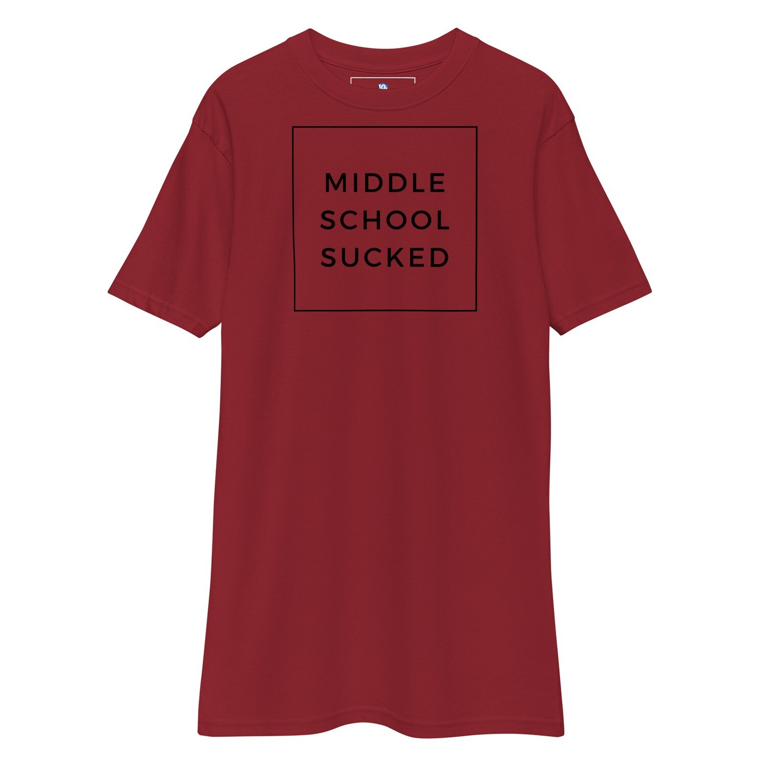 MIDDLE SCHOOL SUCKED Men’s premium heavyweight tee