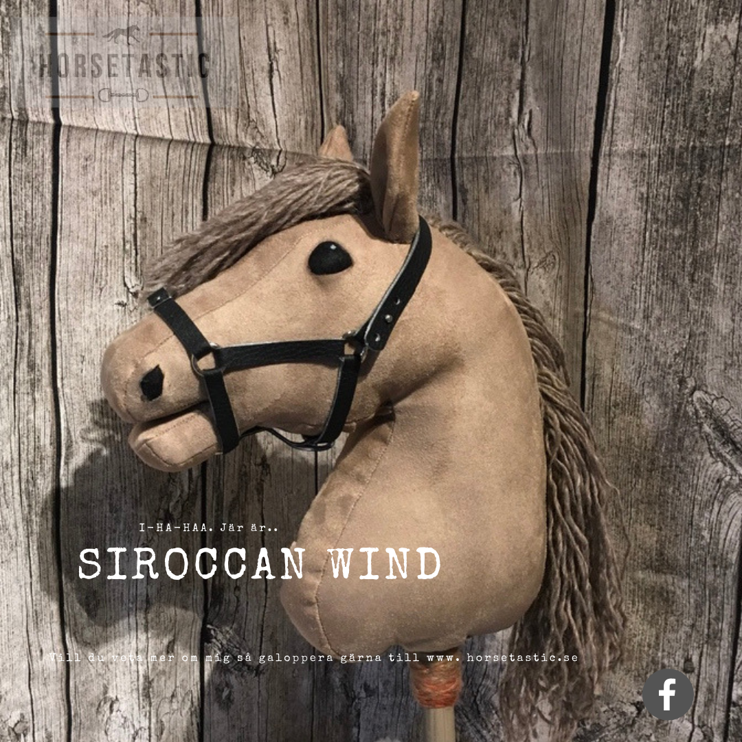 Käpphäst &#39;Siroccan Wind&#39;
