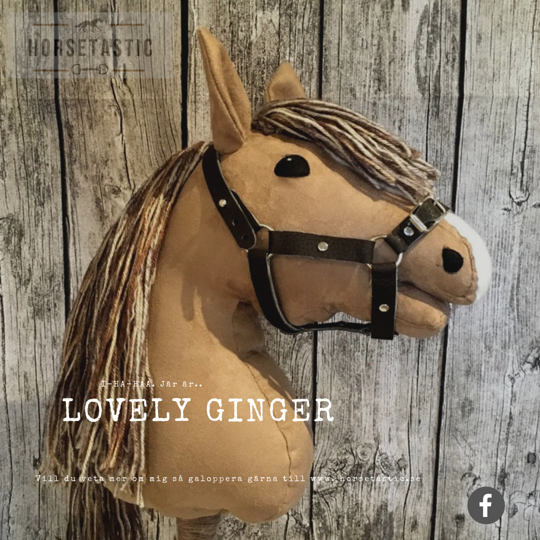 Käpphäst &#39;Lovely Ginger&#39;