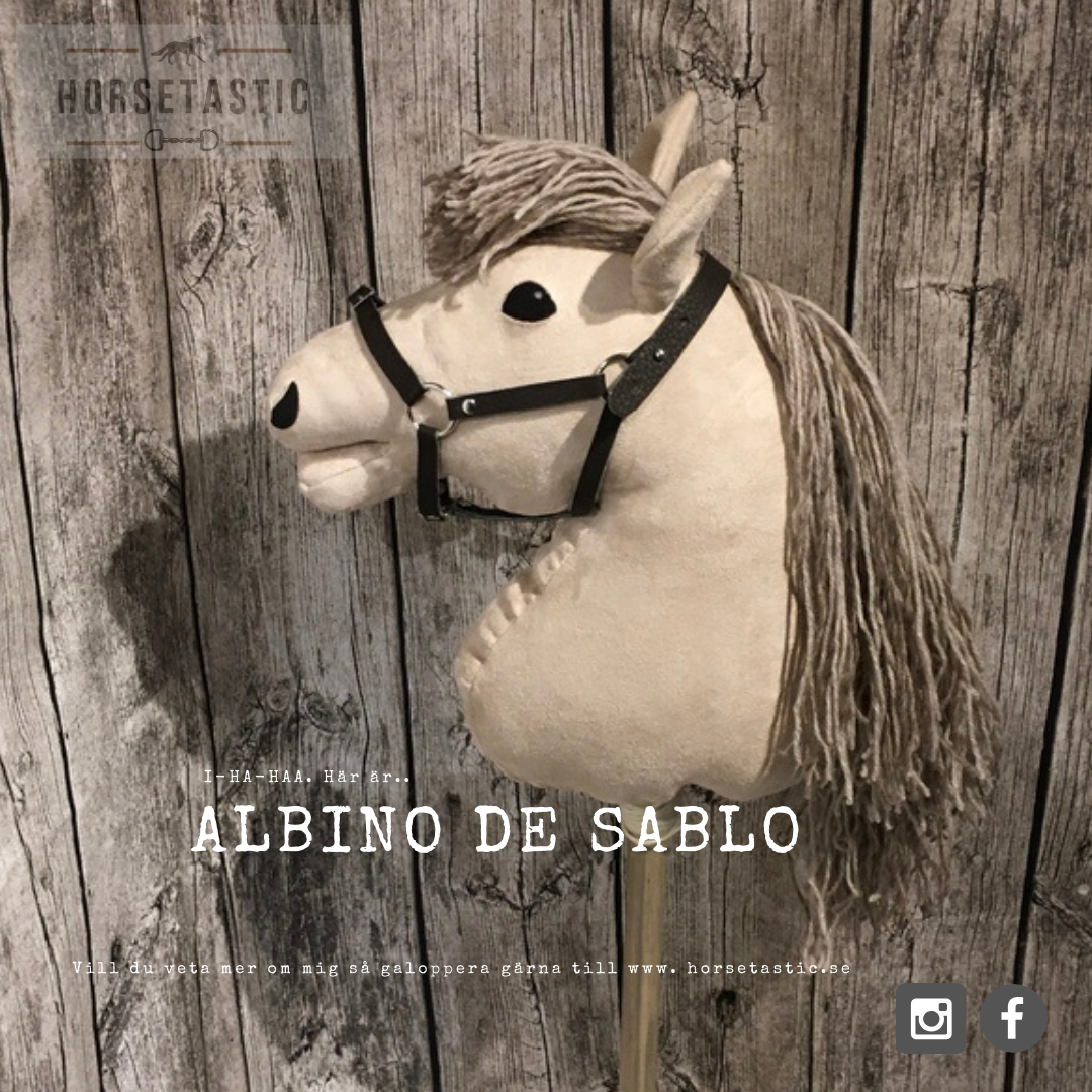 Käpphäst &#39;Albino de Sablo&#39;