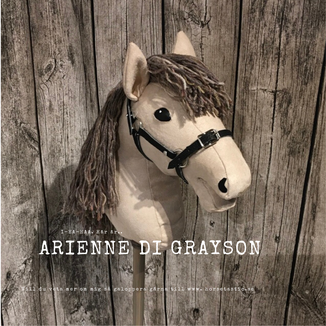 Käpphäst &#39;Arienne di Grayson&#39;