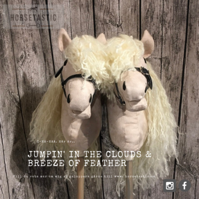 Käpphäst &#39;Jumpin&#39; in the clouds &#39; &amp; &#39;Breeze of Feather&#39;