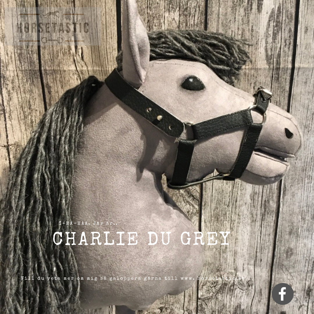 Käpphäst &#39;Charlie du Gray&#39;