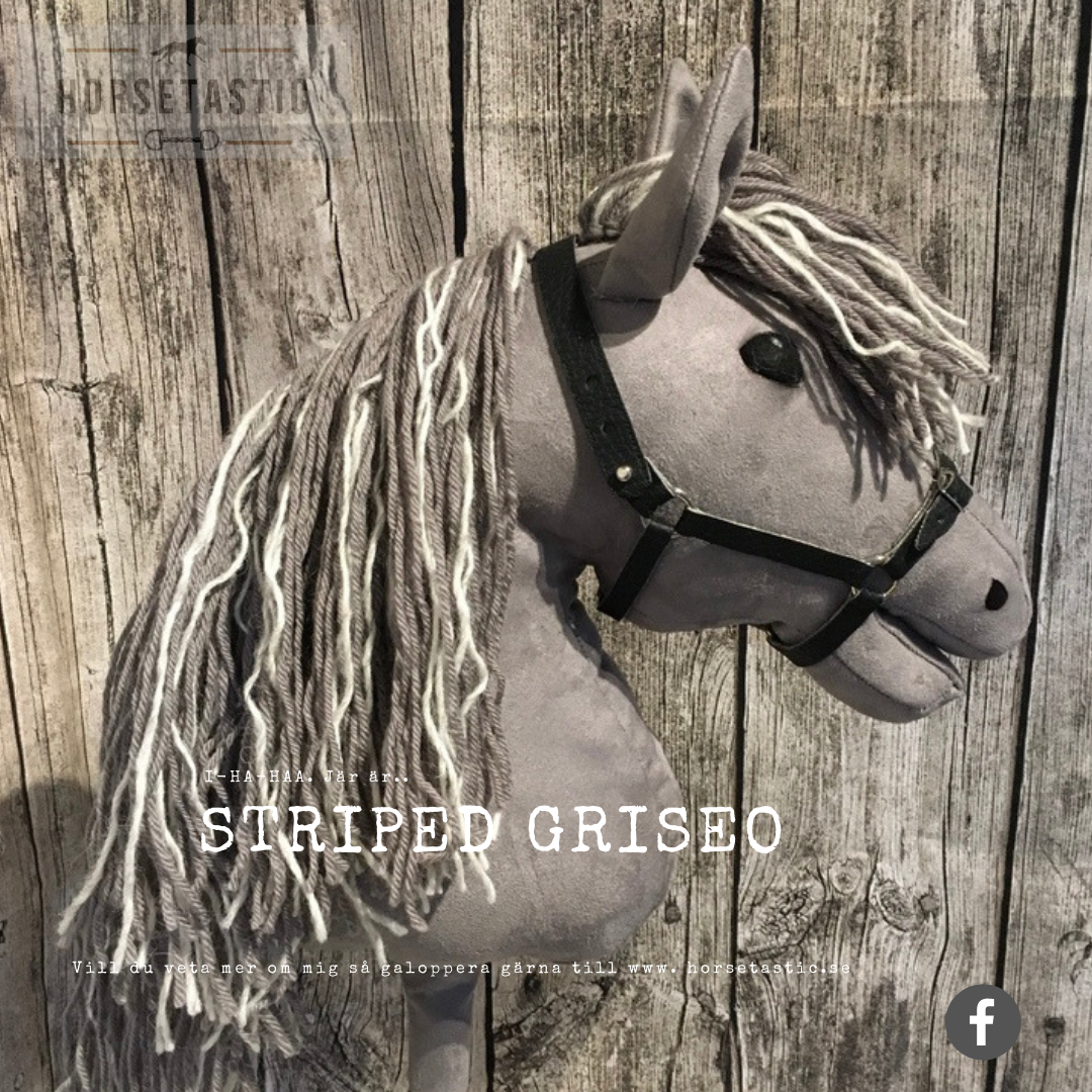 Käpphäst &#39; Striped Griseo&#39;