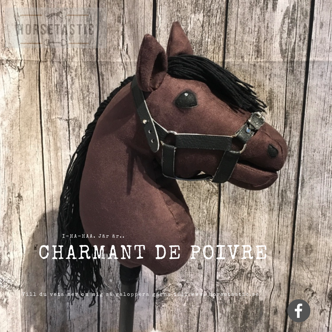 Käpphäst &#39;Charmant de Poivre&#39;