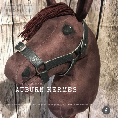 Käpphäst &#39;Auburn Hermes&#39;