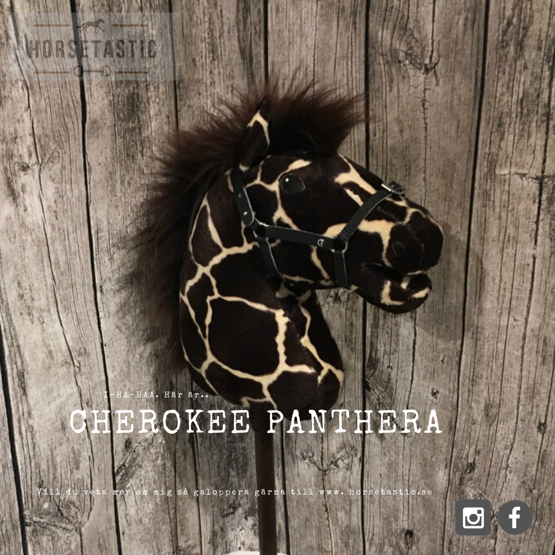 Käpphäst &#39;Cherokee Panthera&#39;