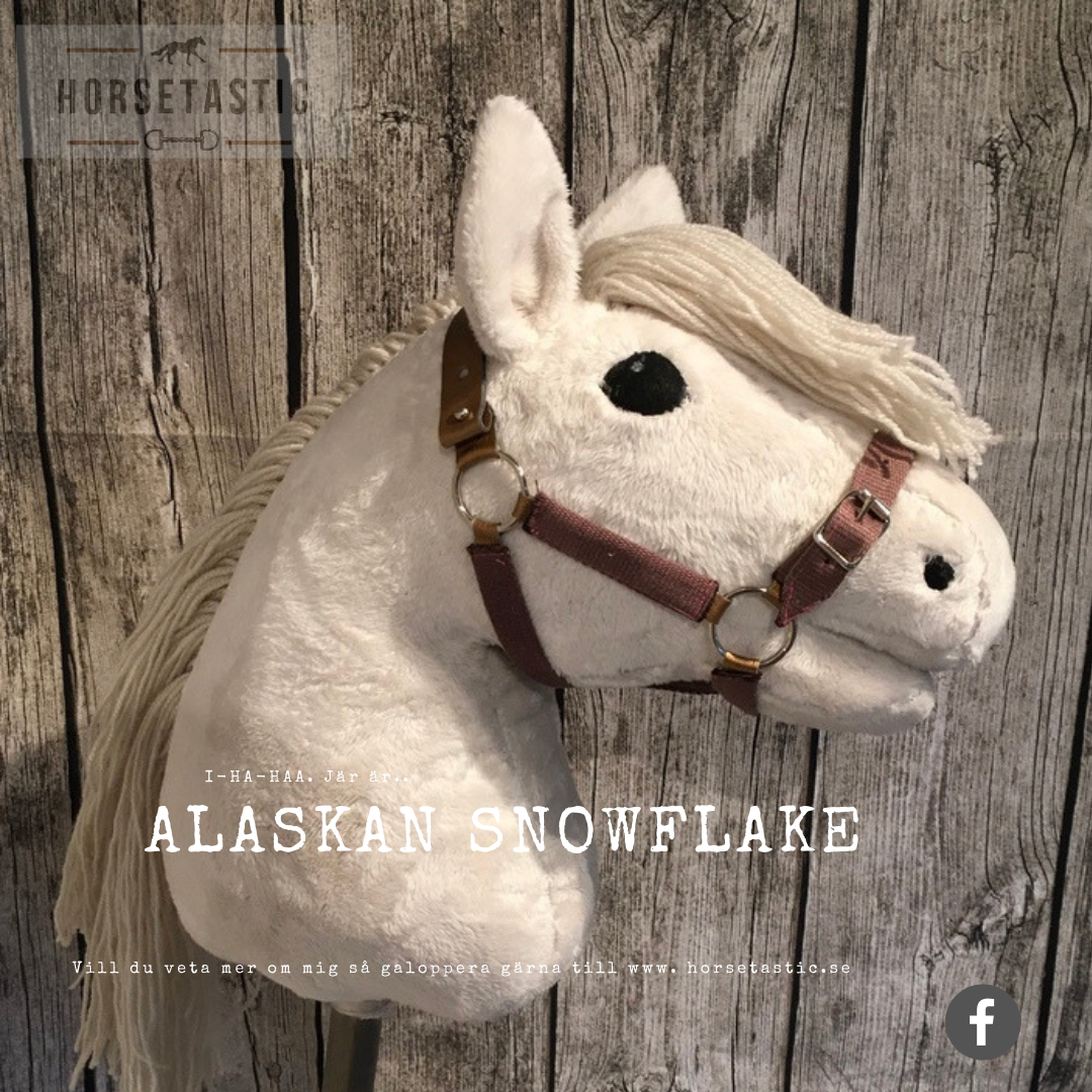 Käpphäst &#39;Alaskan Snowflake&#39;