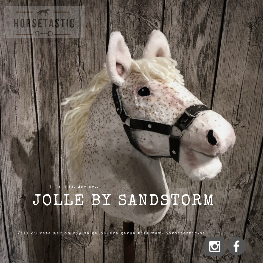Käpphäst &#39;Jolle by Sandstorm&#39;
