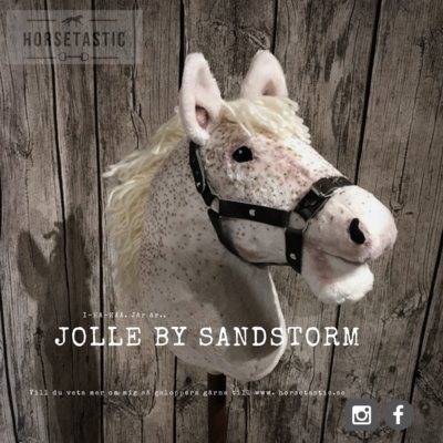 Käpphäst &#39;Jolle by Sandstorm&#39;