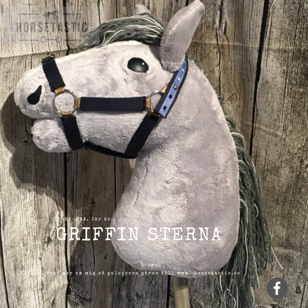 Käpphäst &#39; Griffin Sterna&#39;