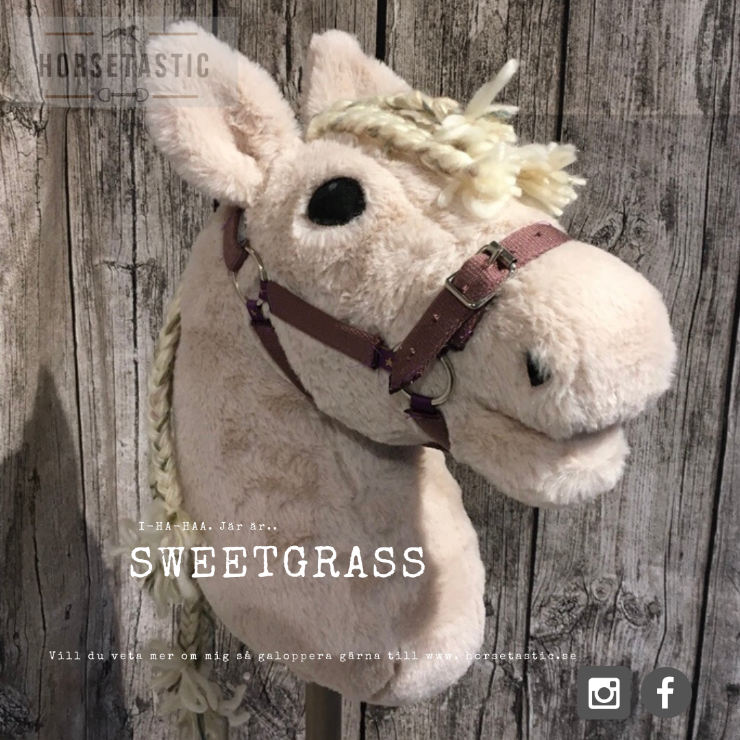 Käpphäst &#39;Sweetgrass&#39;