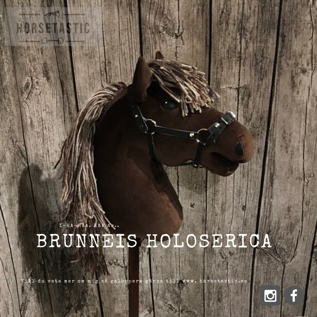 Käpphäst &#39;Brunneis Holoserica&#39;
