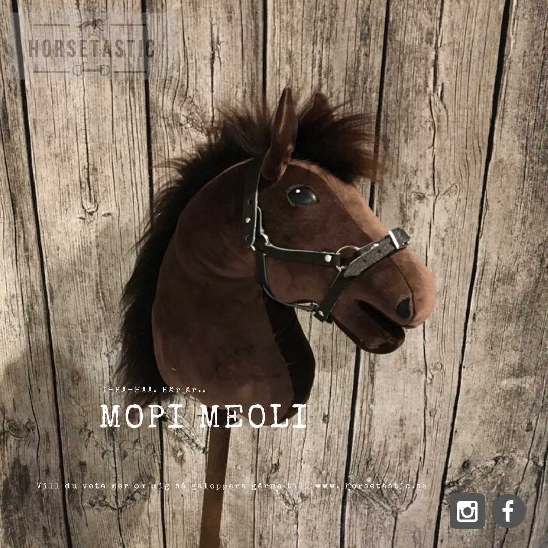 Käpphäst &#39;Mopi Meoli&#39;