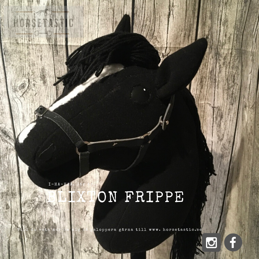 Käpphäst &#39;Blixton Frippe&#39;