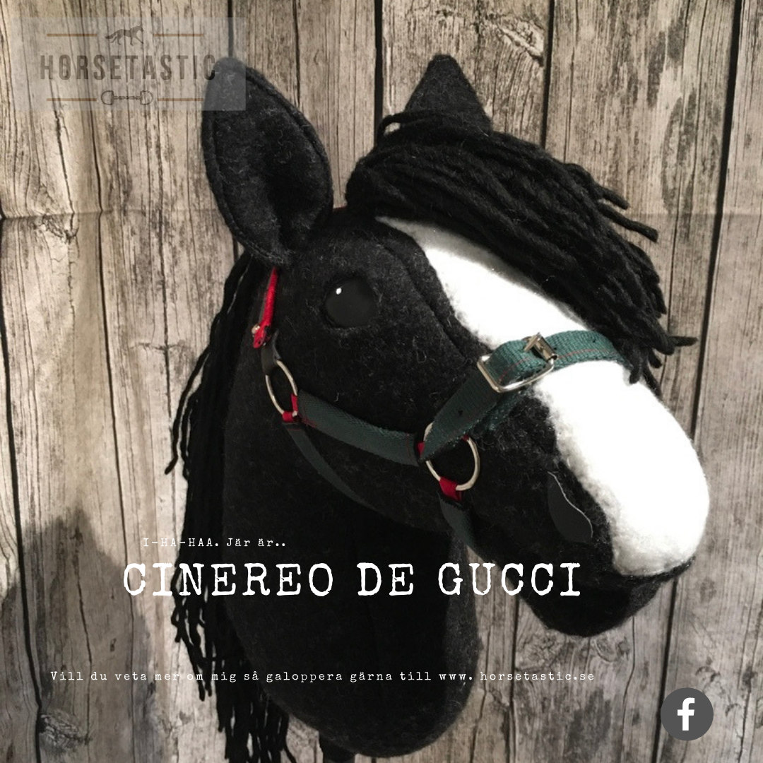Käpphäst &#39;Cinereo de Gucci&#39;