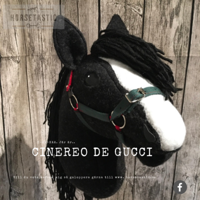 Käpphäst &#39;Cinereo de Gucci&#39;