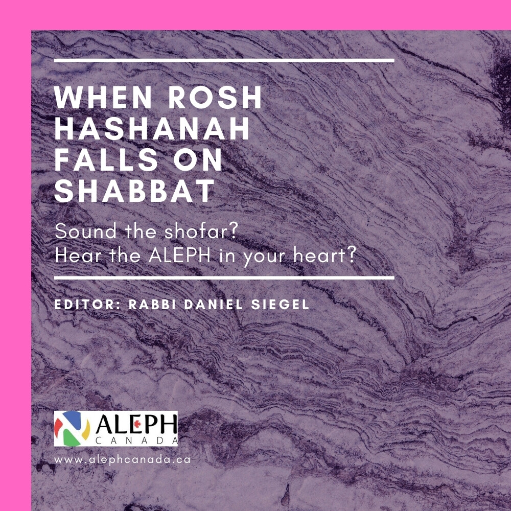 WHEN ROSH HASHANAH FALLS ON SHABBAT