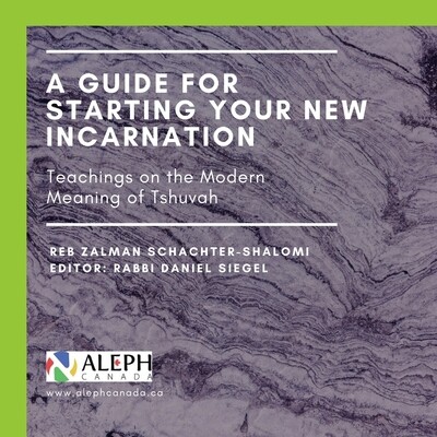 A GUIDE FOR STARTING YOUR NEW INCARNATION