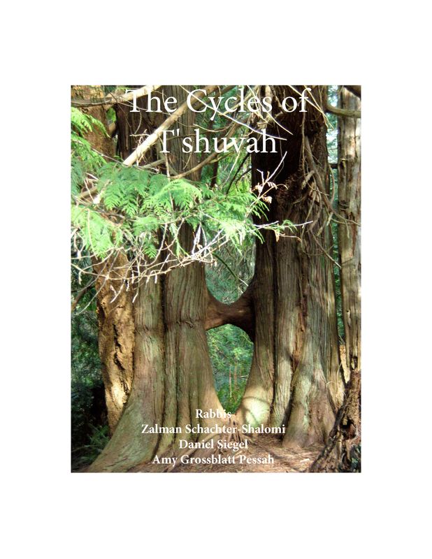 THE CYCLES OF TESHUVAH