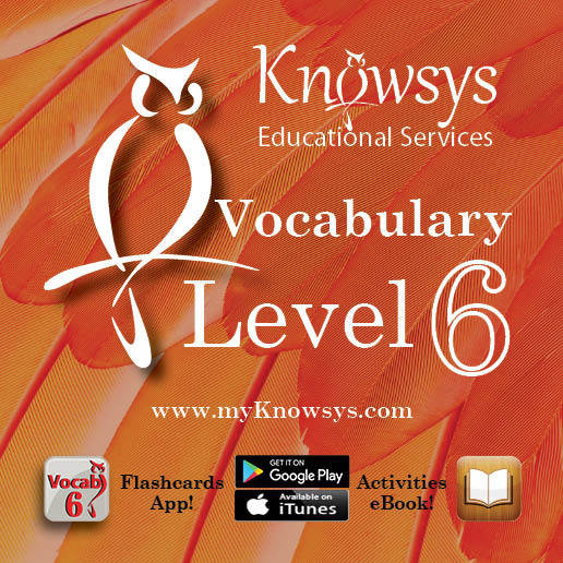 Knowsys Flashcards Level 6