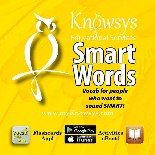 Knowsys Flashcards Smart Words