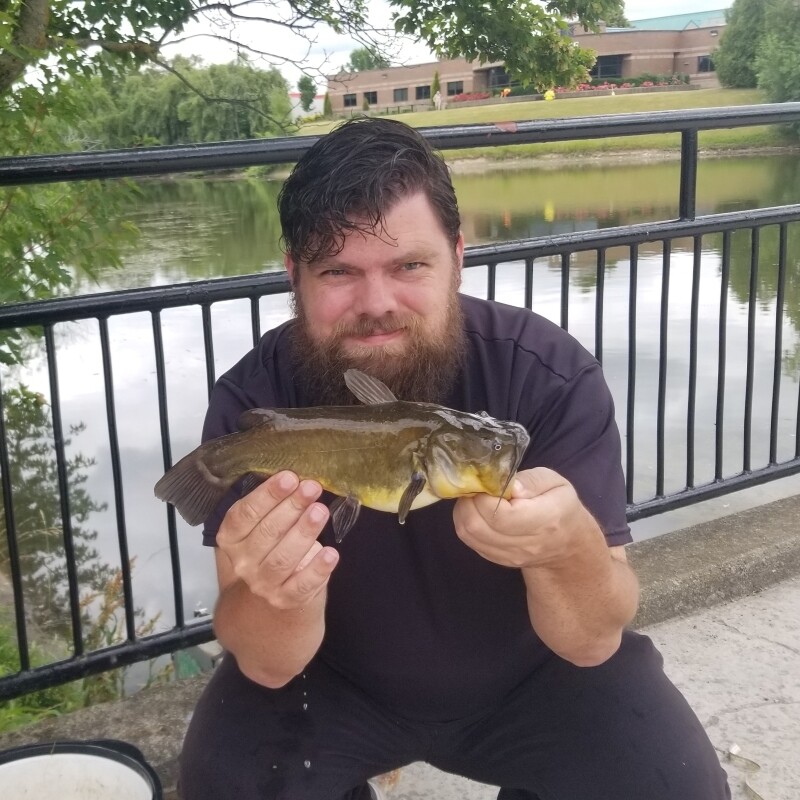 Black Bullhead M