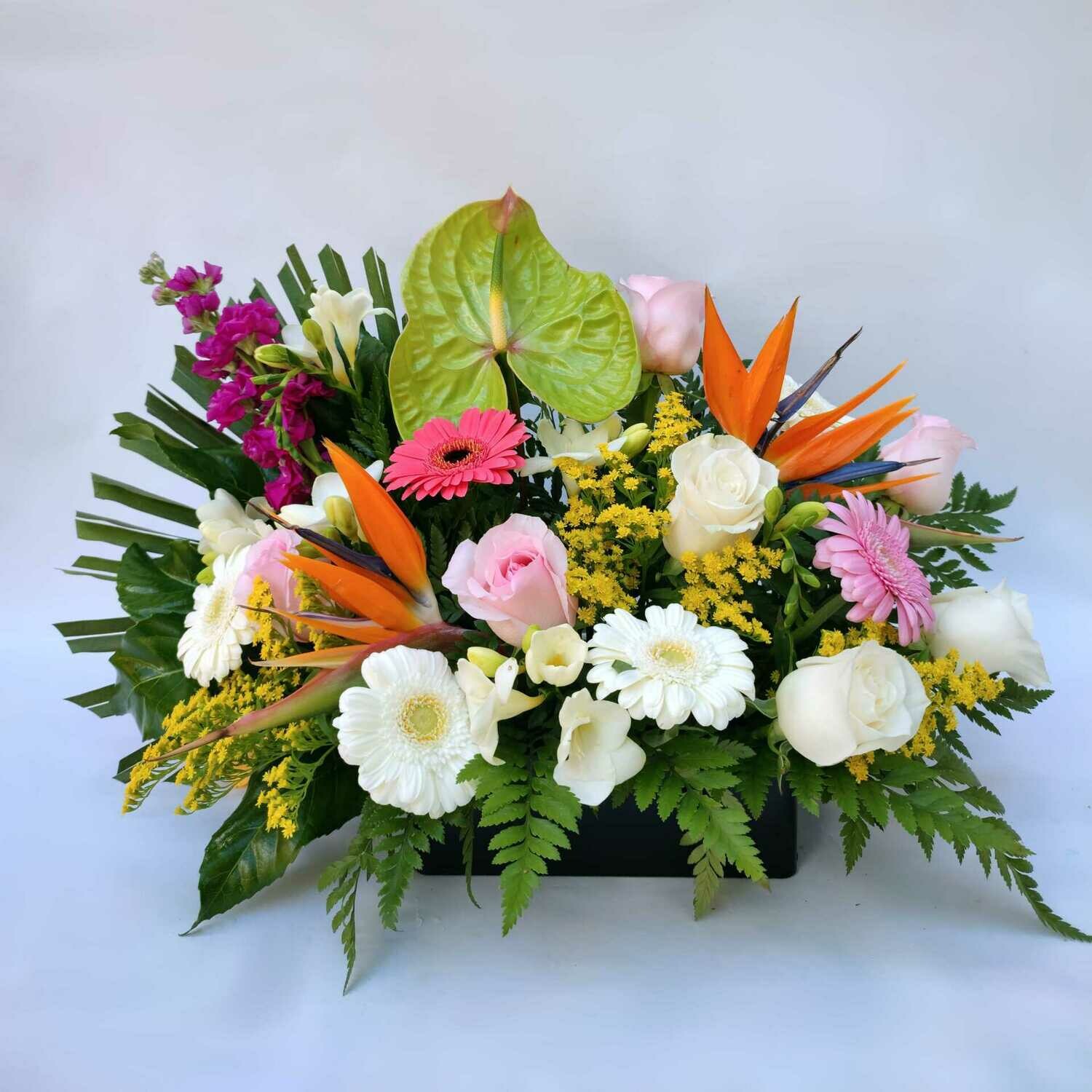 Caja de Flores Lujo