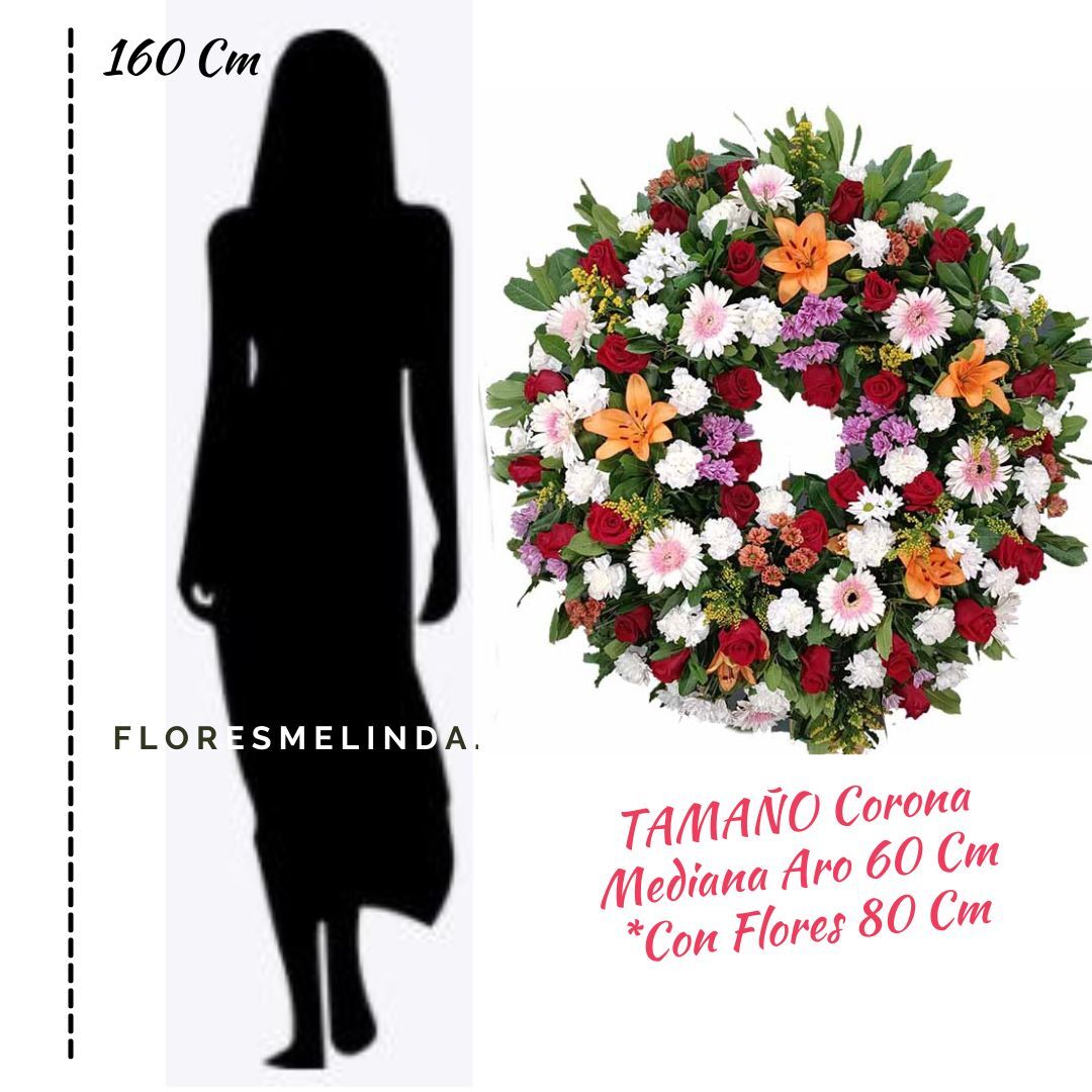 Corona Funeraria Servisa