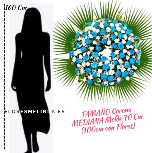 Corona Funeraria Pozuelo