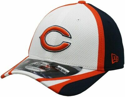 Chicago Bears 2014 Training Camp Flex Fit Hat