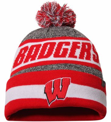 Wisconsin Badgers