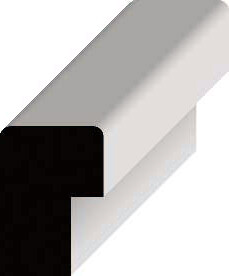 Back Band