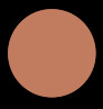Stick Concealer - N8