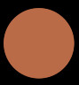 Stick Concealer - N95