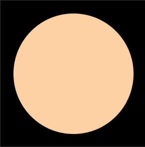 Liquid Concealer C25
