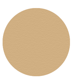 Dual Pressed Powder N5