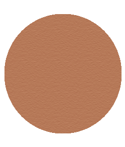 Bronzer 407