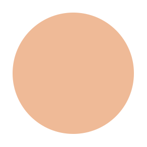 Mousse Foundation N7