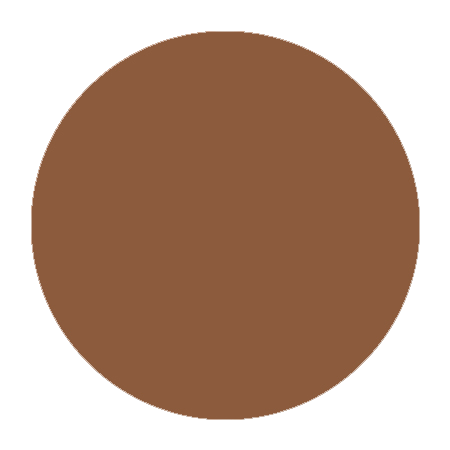 Cream Foundation N10