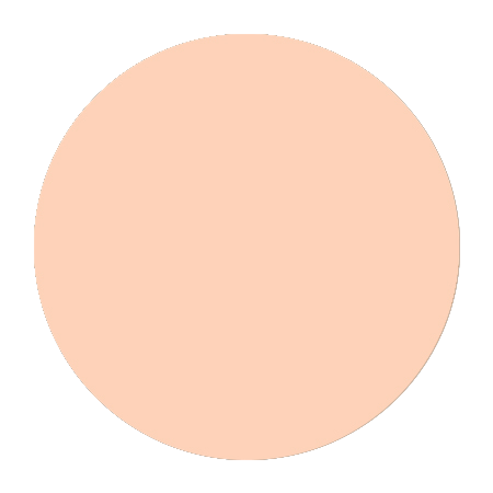 Cream Foundation N4