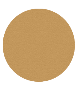Dual Pressed Powder N7