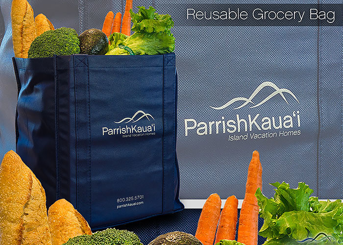 Reusable Kauai Activities Bag