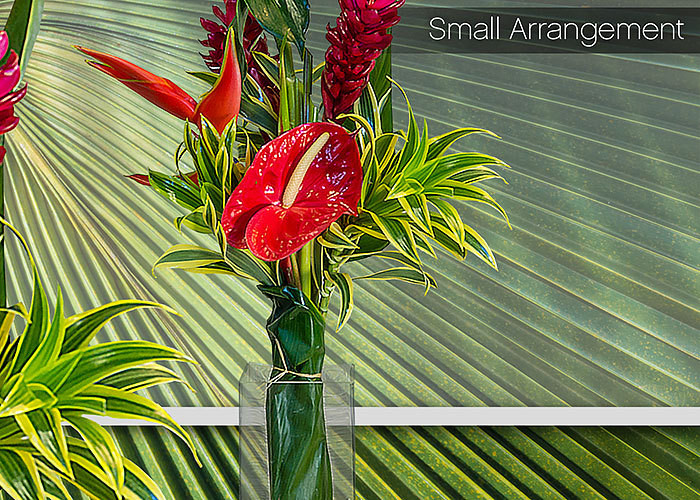 Small Tropical Arrangement