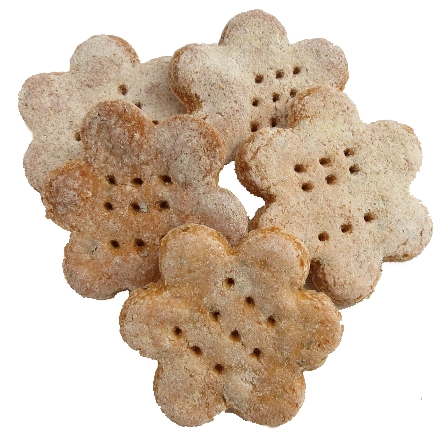 Veggie Fritz Crackers