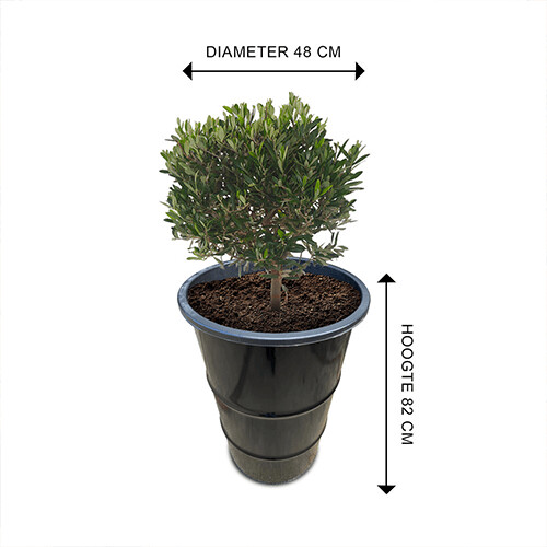 Industrieel metalen plantenbak 82x48 cm