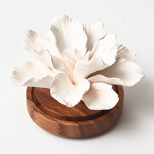 Handgemaakte Hibiscus de Malaisie geur verspreider