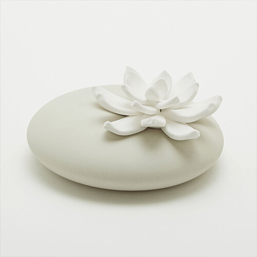 Lili cream color diffuser