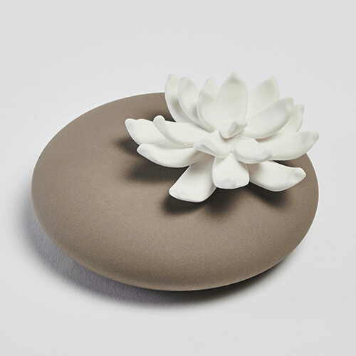 Lili coffee color diffuser